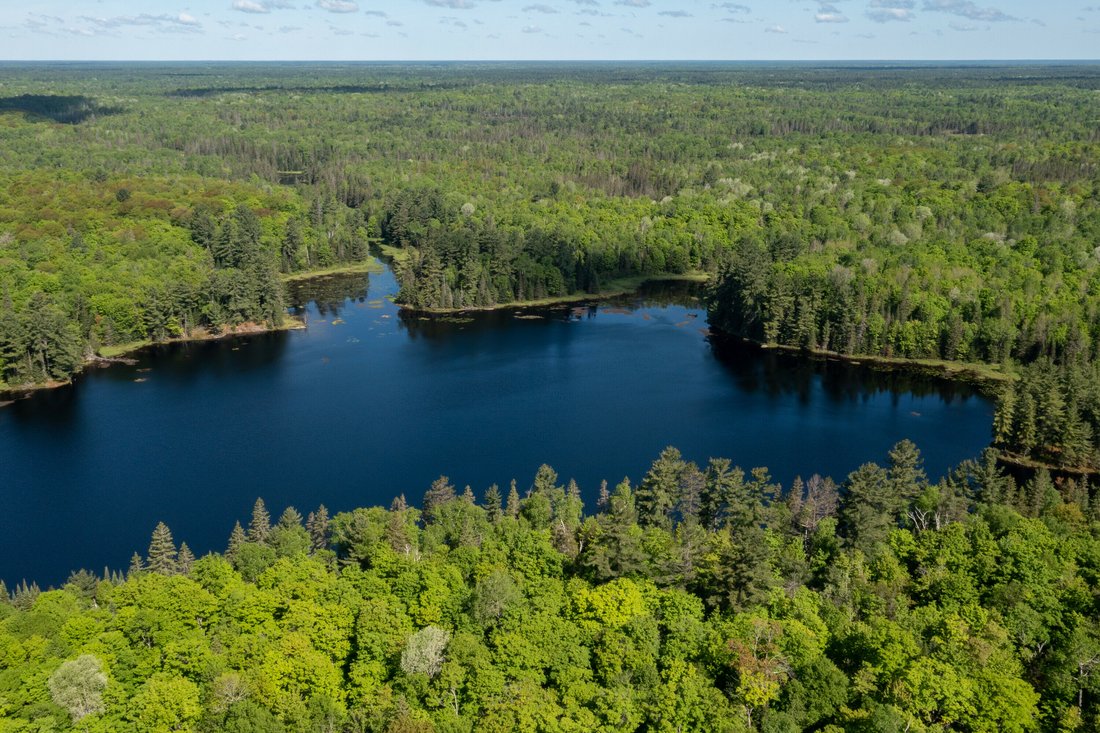 Symphony Of Nature In Parry Sound, Ontario, Canada For Sale (12003558)