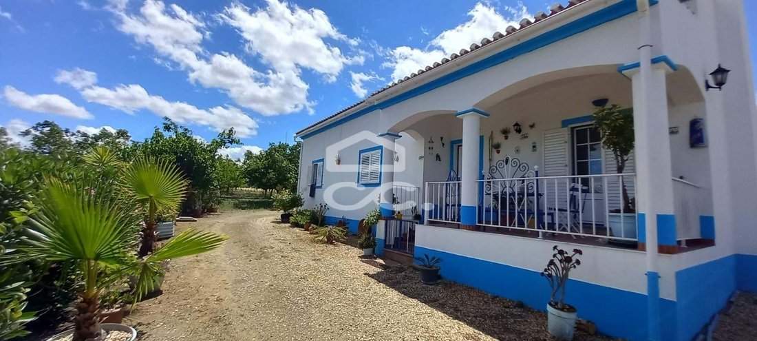 Farm Ranch in Beja (Santiago Maior e Sao Joao Baptista), Beja District, Portugal 1 - 11096339