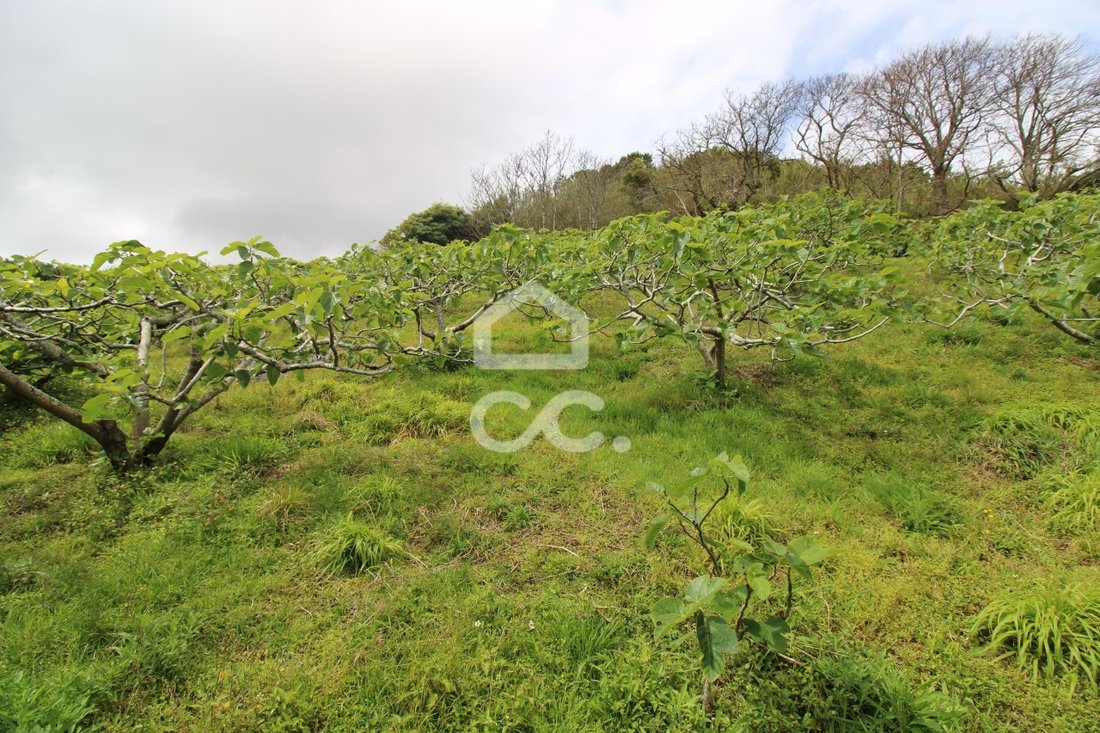 Villa in Ribeira Seca, Azores, Portugal 1 - 12019290