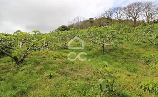 Villa in Ribeira Seca, Azores, Portugal 1