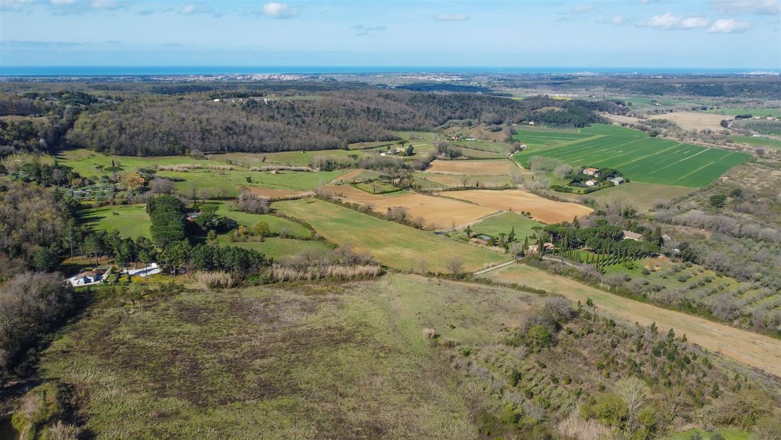 Farm Ranch in Montescudaio, Tuscany, Italy 4 - 12022307