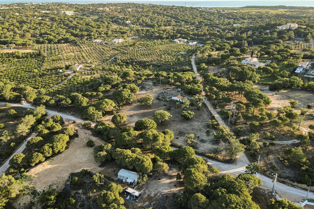 Land in Almancil, Algarve, Portugal 4 - 12030243