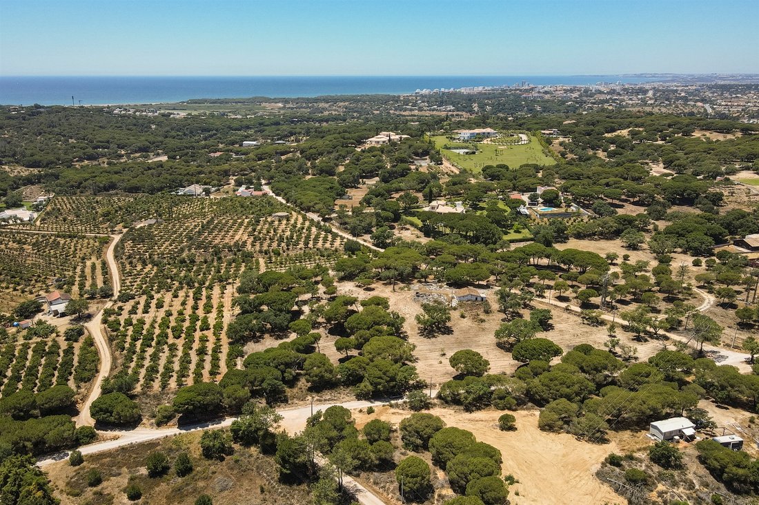 Land in Almancil, Algarve, Portugal 5 - 12030243