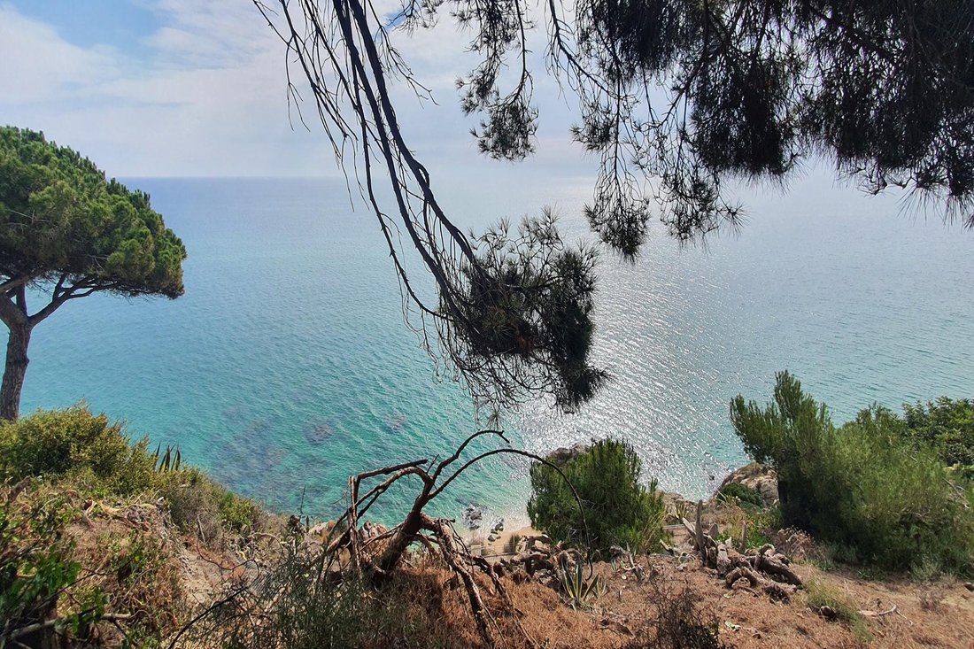 Terrain Unique De 2.000m2 En Face De La Dans Arenys De Mar, Catalogne