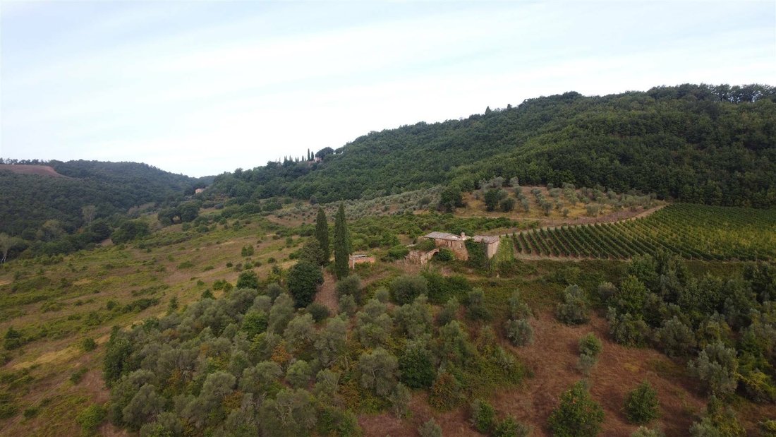 Otros en Montefollonico, Toscana, Italia 2 - 12031428