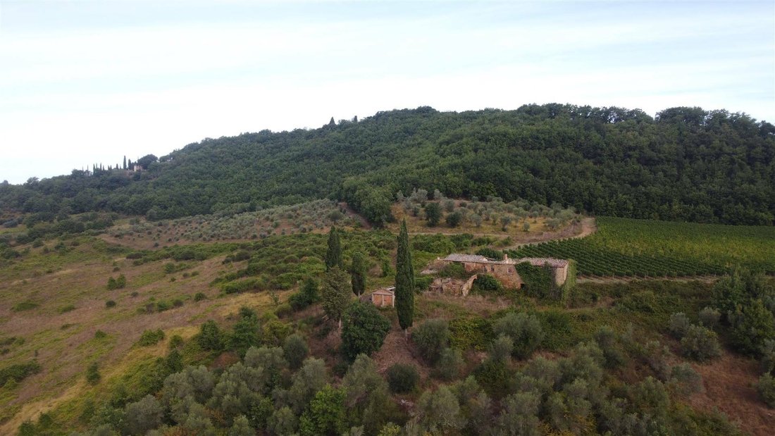 Otros en Montefollonico, Toscana, Italia 3 - 12031428