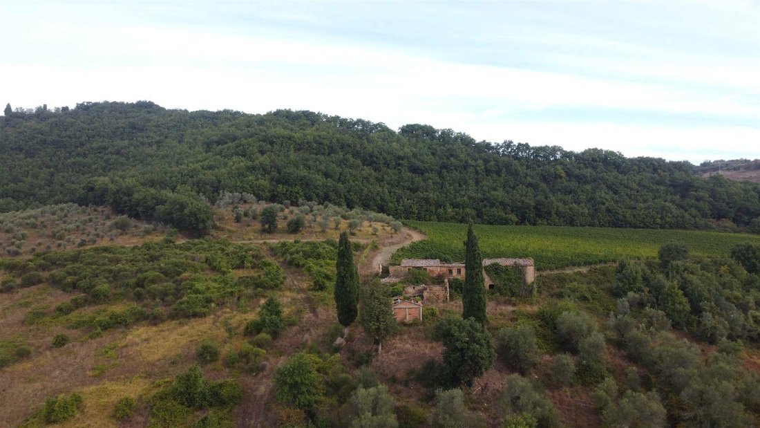 Otros en Montefollonico, Toscana, Italia 1 - 12031428