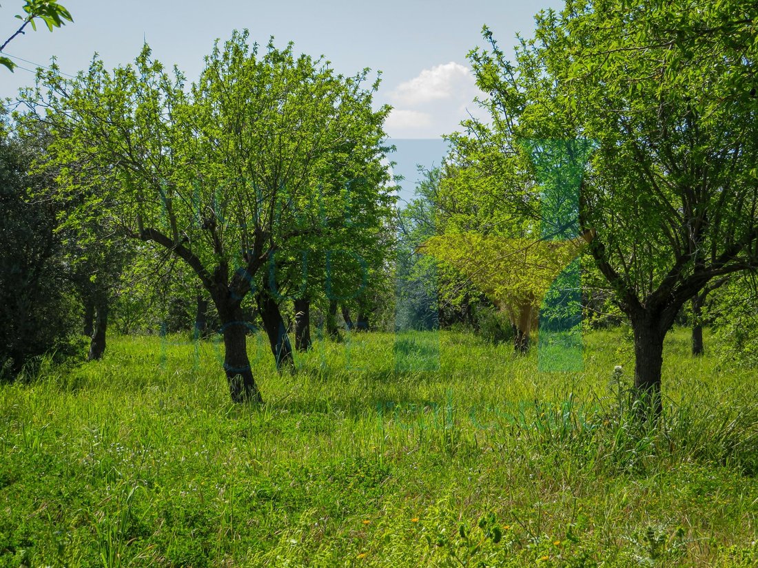 Land in Center, Noto, Sicily 2 - 12033607