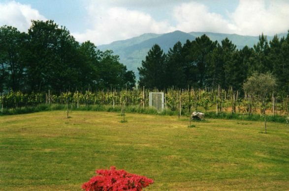 Villa in Ricco del Golfo di Spezia, Liguria, Italy 5 - 12034792