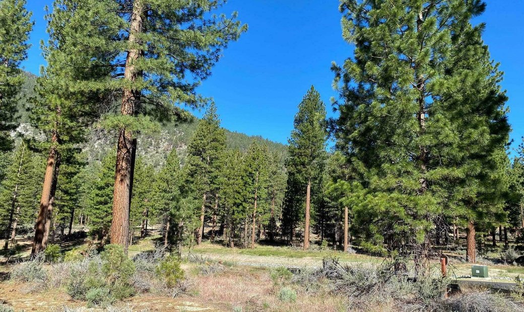 Prominent Corner Homesite At Clear Creek Tahoe In Genoa, Nevada, United