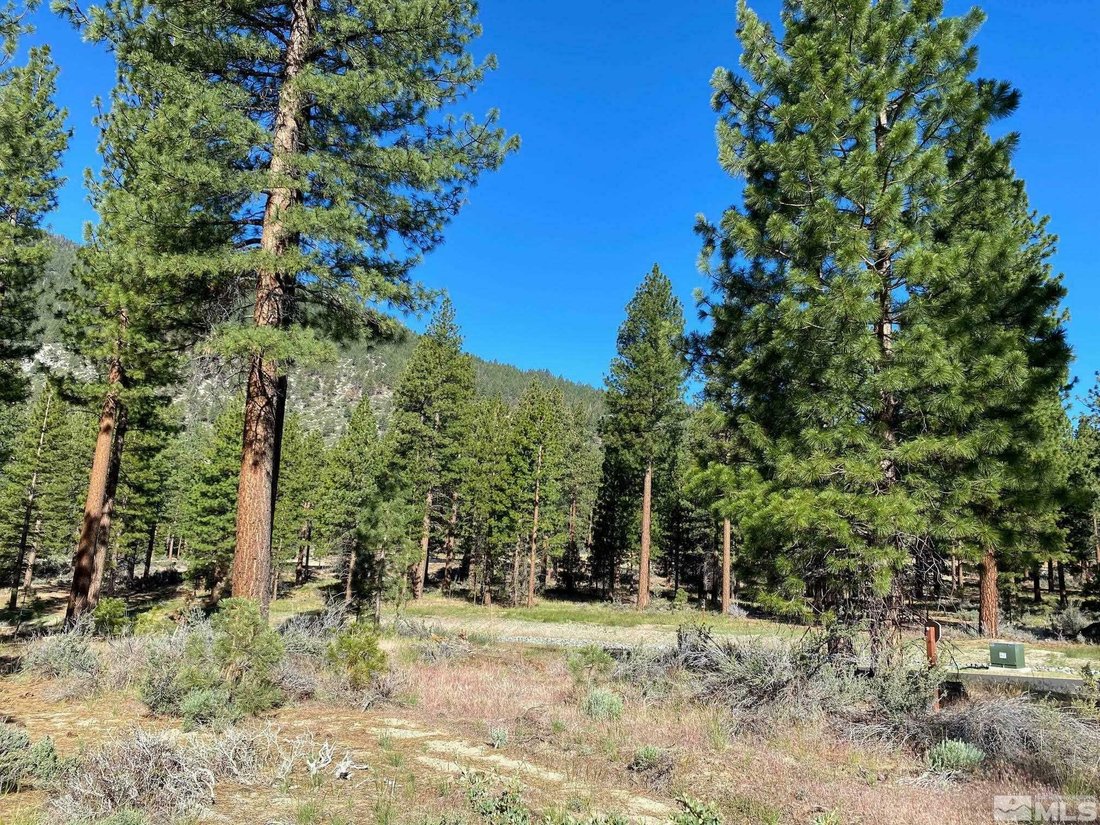 Prominent Corner Homesite At Clear Creek Tahoe In Genoa, Nevada, United