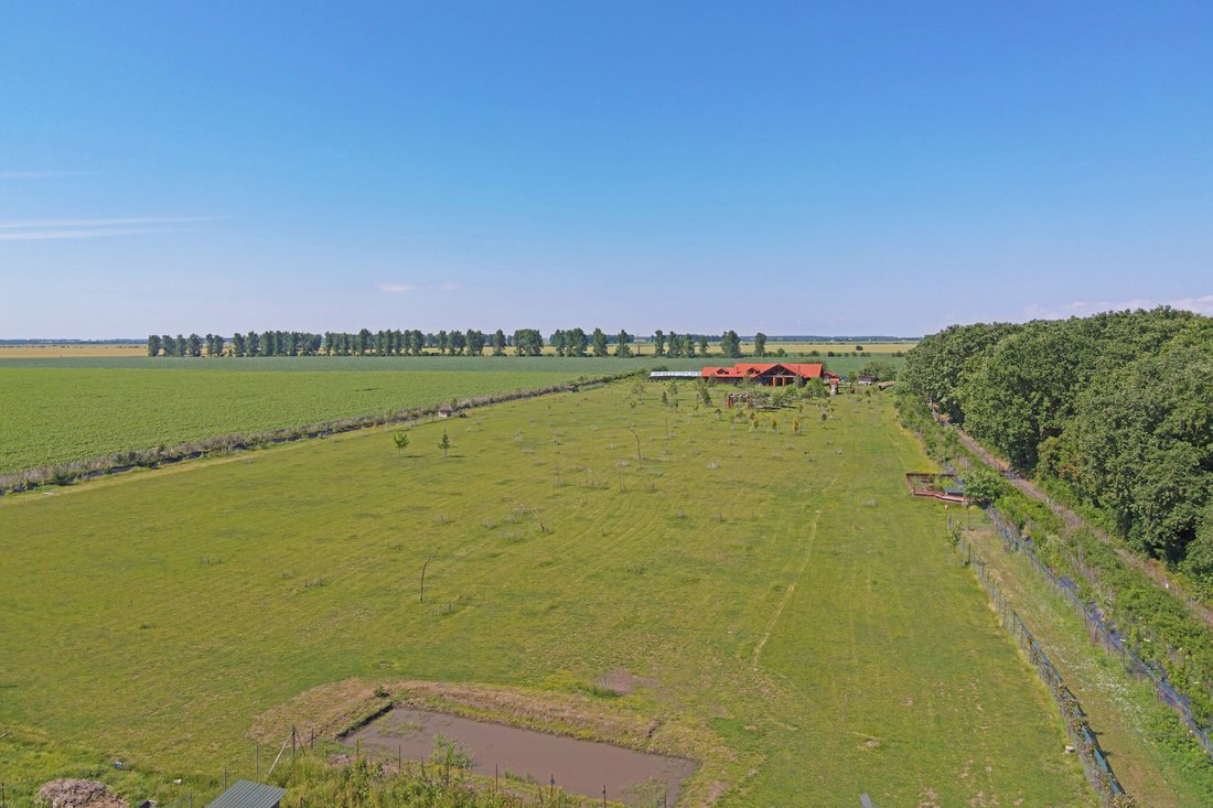Farm Ranch in Grădiștea, Ilfov County, Romania 3 - 12044240