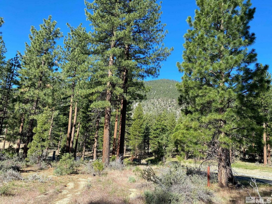 Prominent Corner Homesite At Clear Creek Tahoe In Genoa, Nevada, United