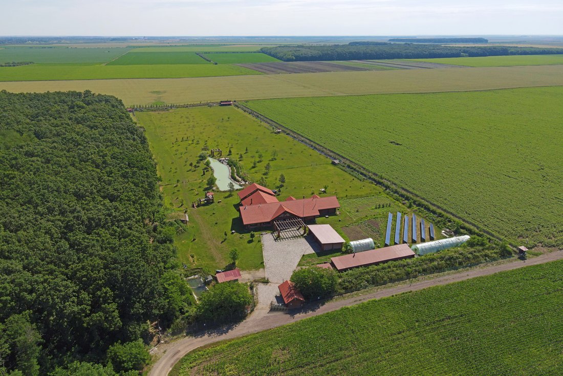 Farm Ranch in Grădiștea, Ilfov County, Romania 1 - 12044240