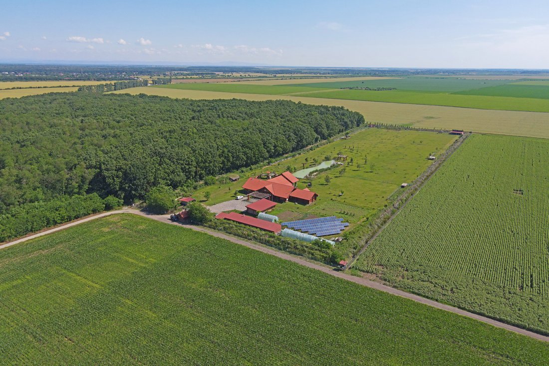 Farm Ranch in Grădiștea, Ilfov County, Romania 2 - 12044240