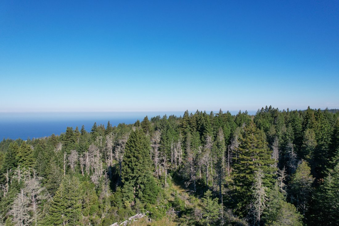 44721 Fish Rock Road In Gualala, California, United States For Sale