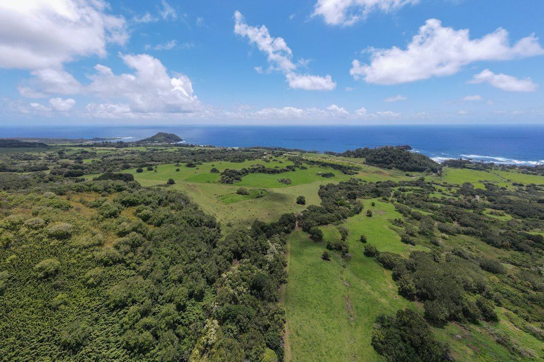 Unmatched Extraordinary Opportunity Hana Ranch, In Hana, Hawaii, United ...