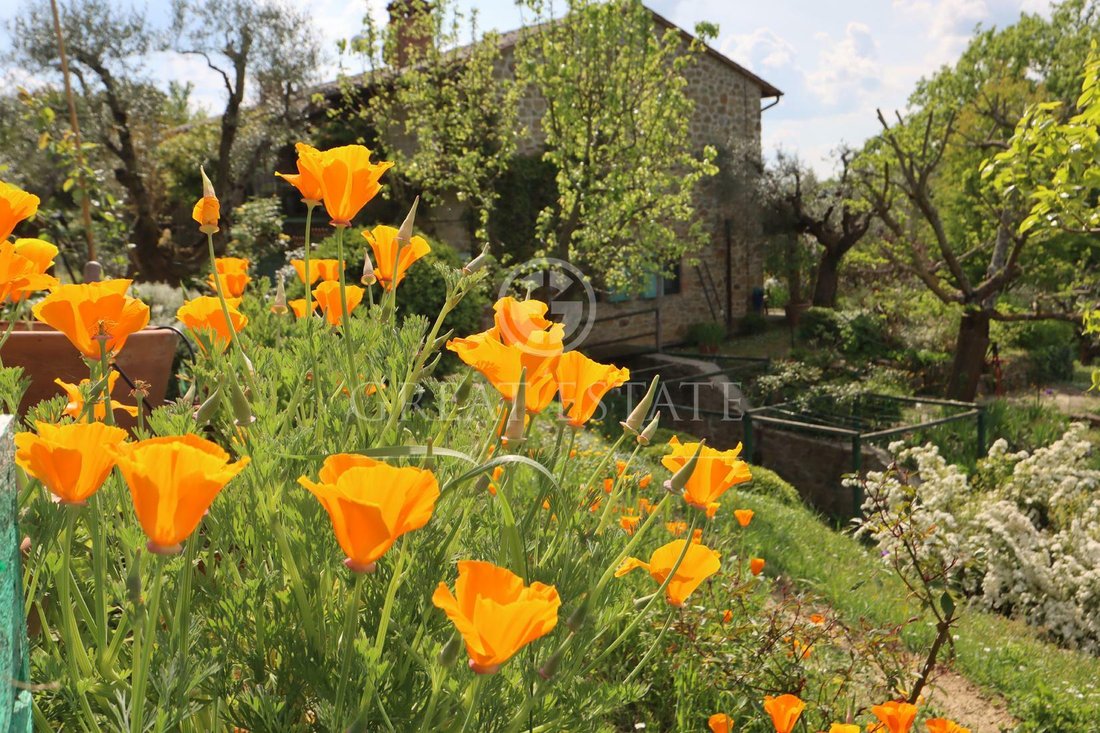 Finca en Umbría, Italia 1 - 12052860