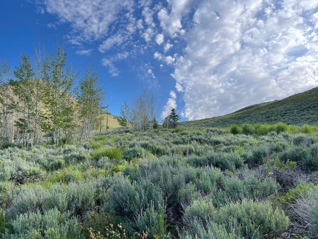 Grond in Ketchum, Idaho, Verenigde Staten 1 - 12058378