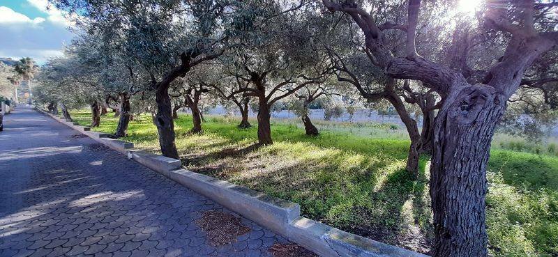 Villa in Italy 4 - 12065782
