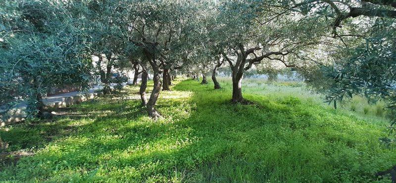 Villa in Italy 2 - 12065782