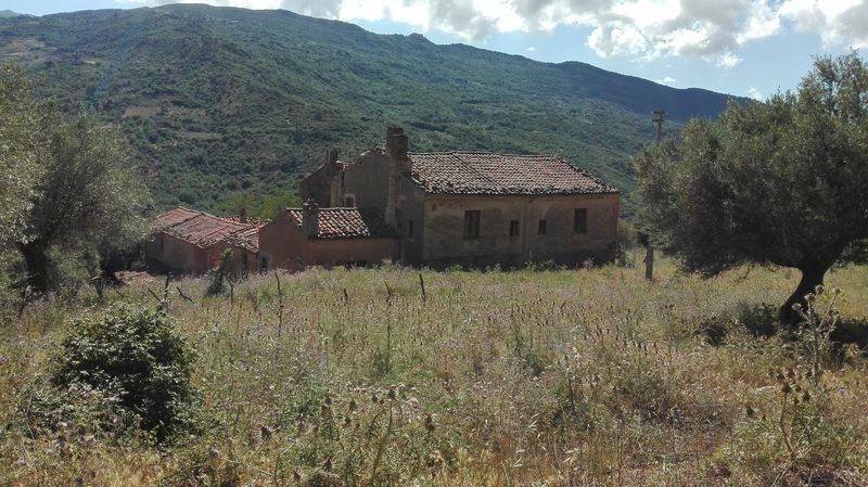 Land in San Mauro Castelverde, Sicily, Italy 3 - 12065776
