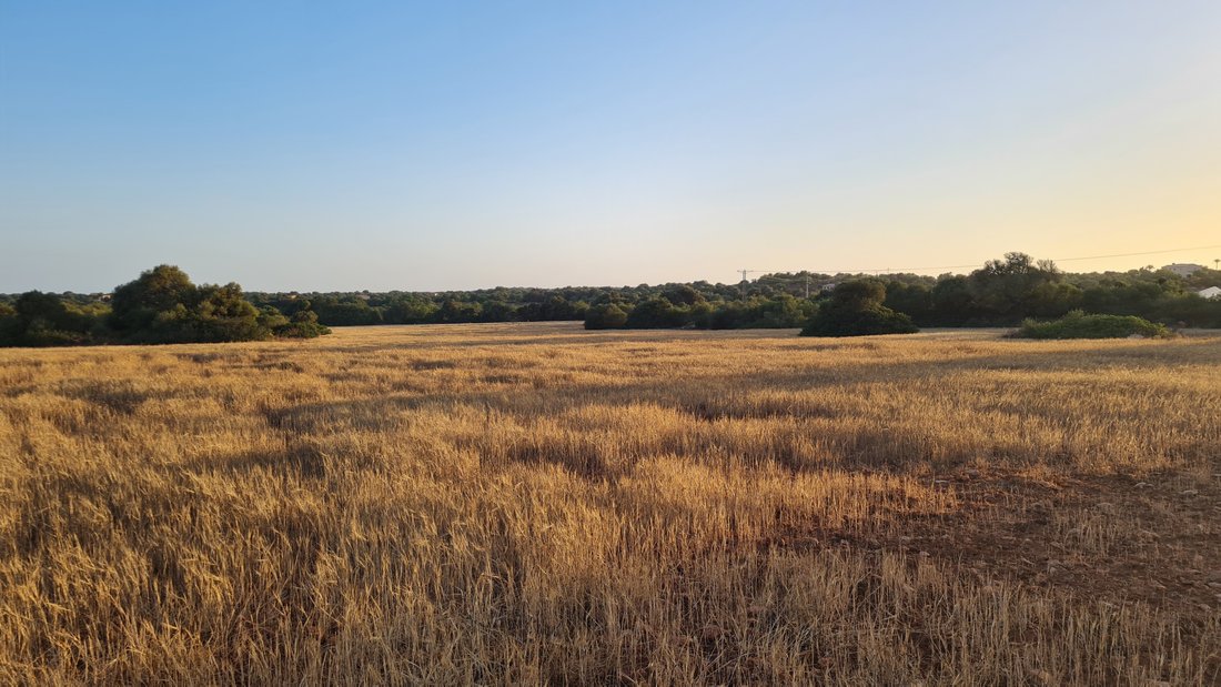 Land in Santanyi, Balearic Islands, Spain 5 - 12065091
