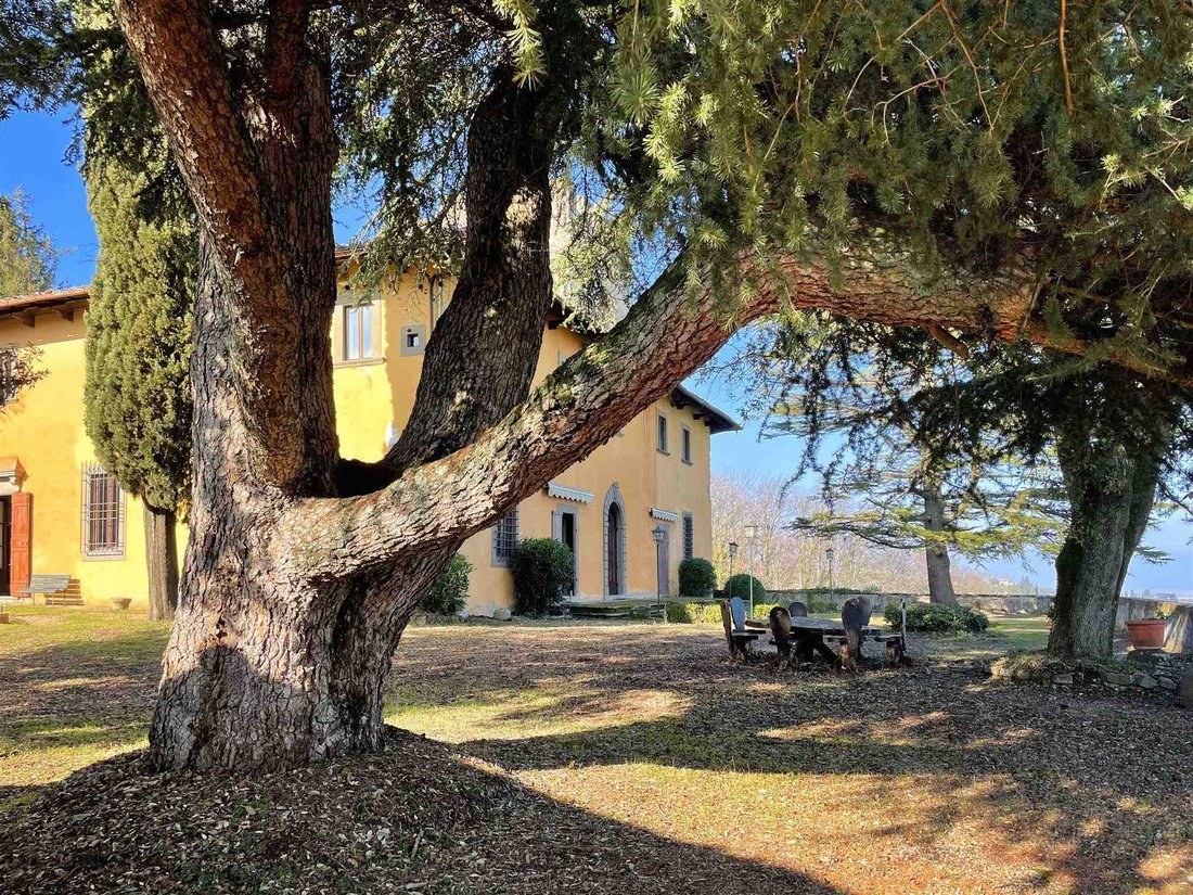 Villa Scandicci In Tuscany, Italy For Sale (12065754)
