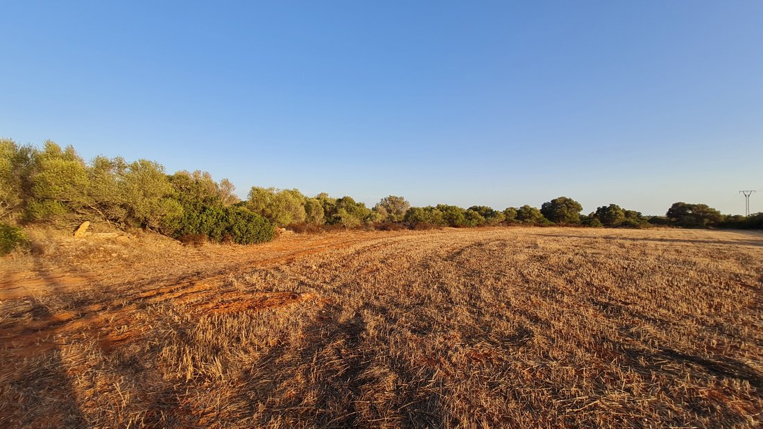 Land in Santanyi, Balearic Islands, Spain 1 - 12065091