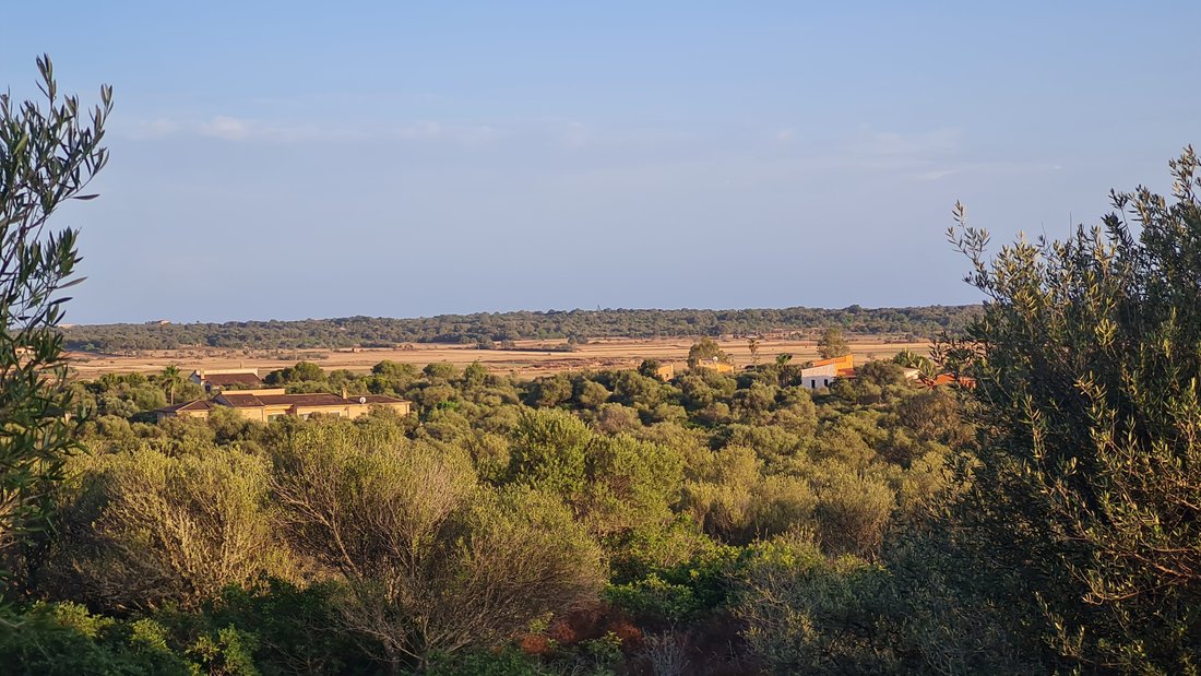 Land in Santanyí, Balearische Inseln, Spanien 1 - 12065066