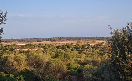 Land in Santanyí, Balearische Inseln, Spanien 1