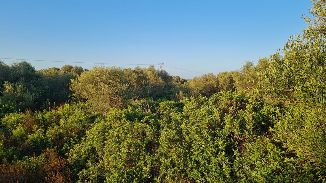 Land in Santanyí, Balearische Inseln, Spanien 4 - 12065066