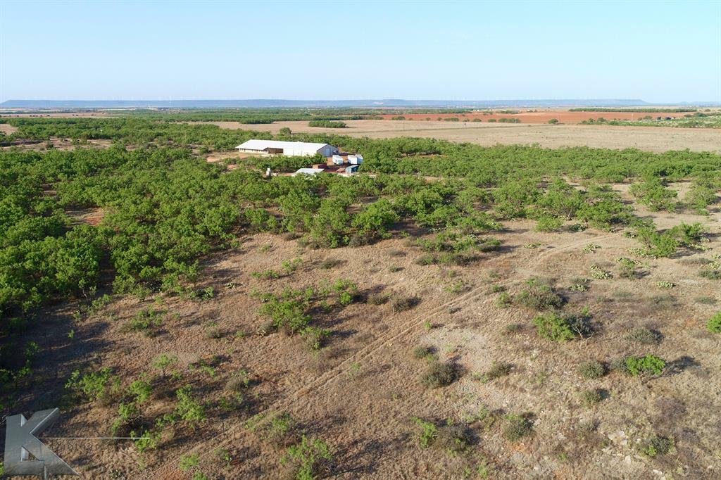 Granja Y Agricultura Trent En Trent, Texas, Estados Unidos En Venta