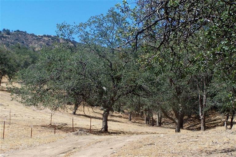 Lots And Land Tehachapi In Tehachapi, California, United States For