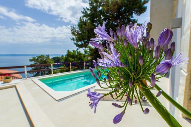 Villa in Sumartin, Split-Dalmatia County, Croatia 5 - 10725518