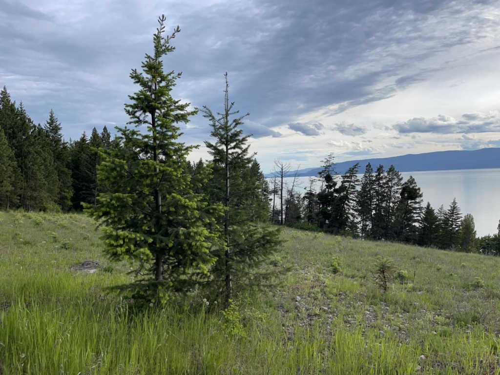Lots And Land Bigfork In Bigfork, Montana, United States For Sale