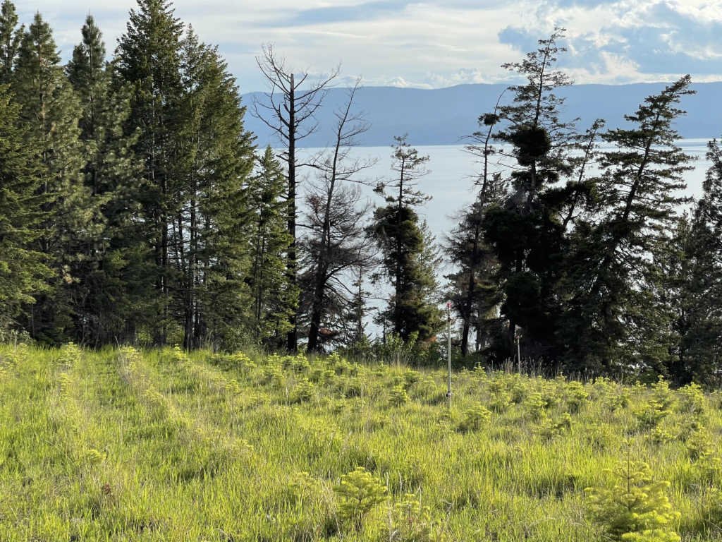 Lots And Land Bigfork In Bigfork, Montana, United States For Sale (12074817)