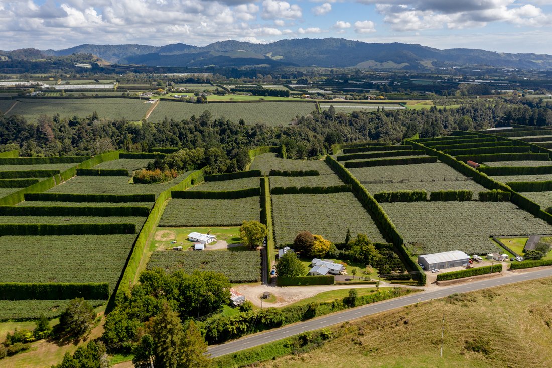 764b Te Matai Road, Te Puke In Te Puke, Bay Of Plenty, New Zealand For