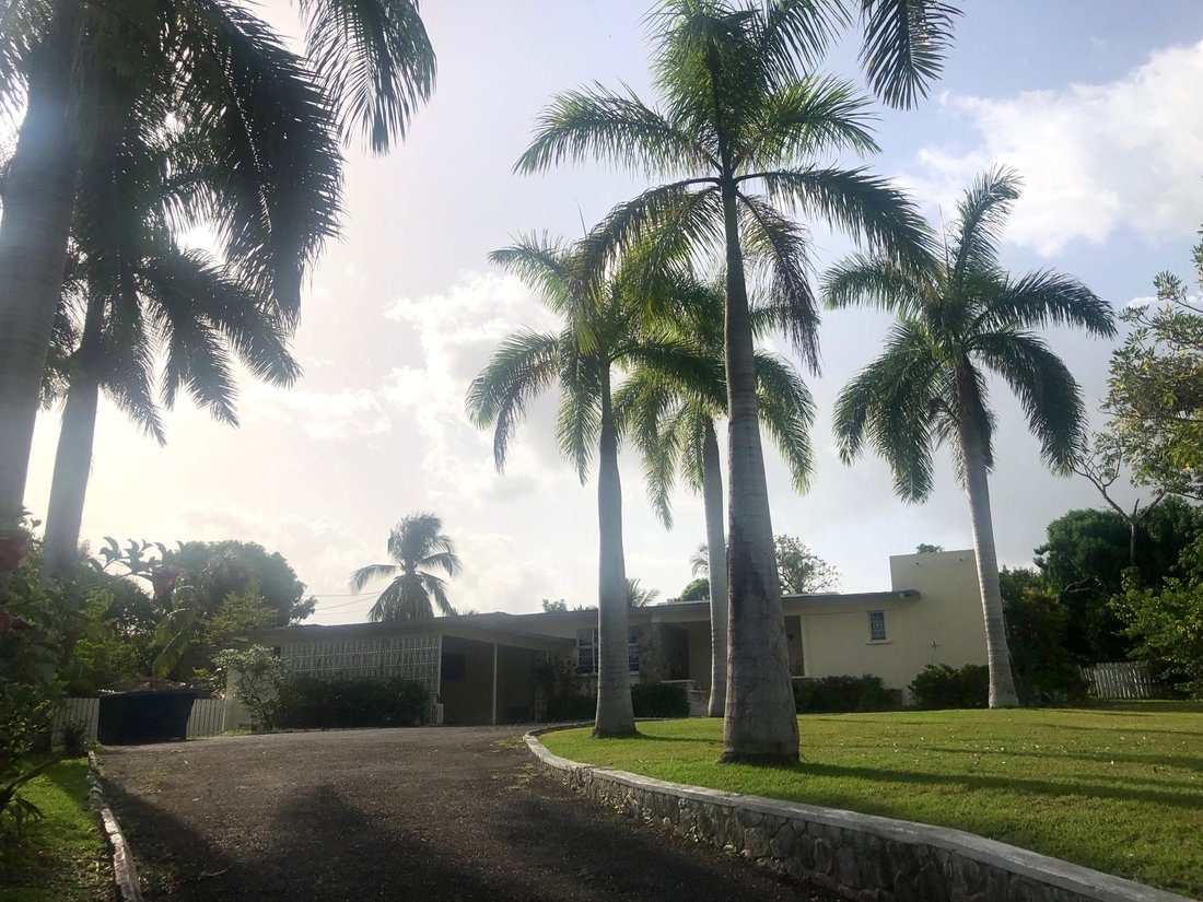 Jacks Hill In Kingston, Kingston Parish, Jamaica For Sale (12087072)