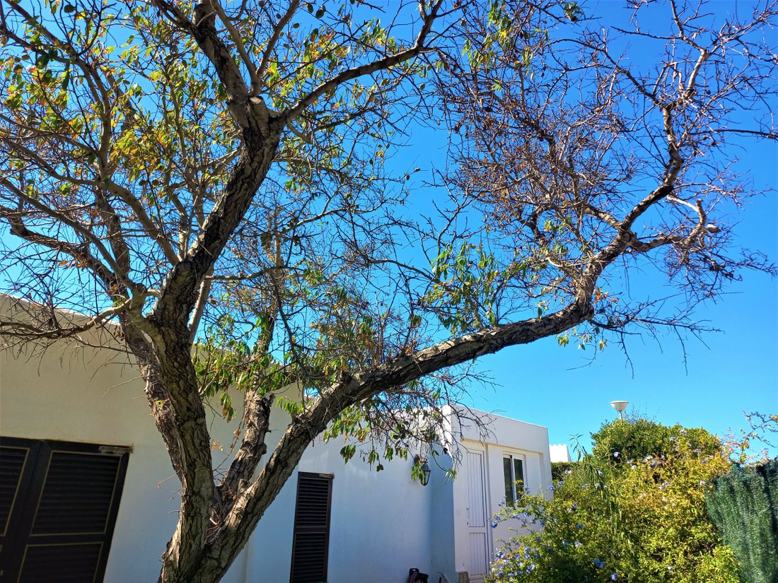 Villa in Sant Lluis, Balearic Islands, Spain 5 - 12095453