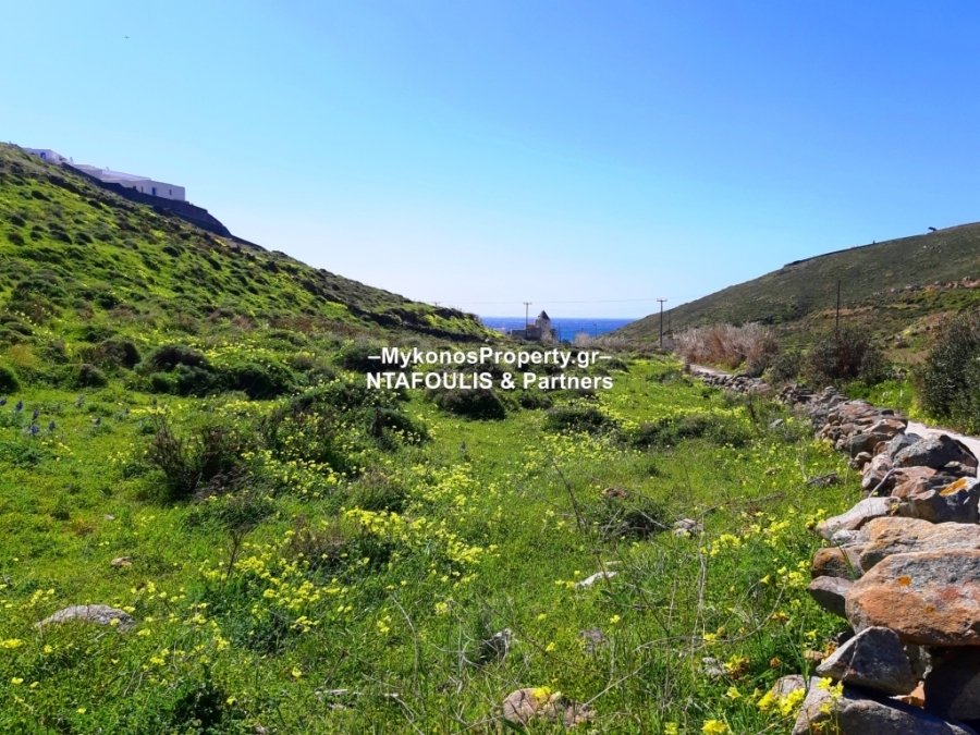 Ano Mera Community, Aegean, Greece 1 - 11553410