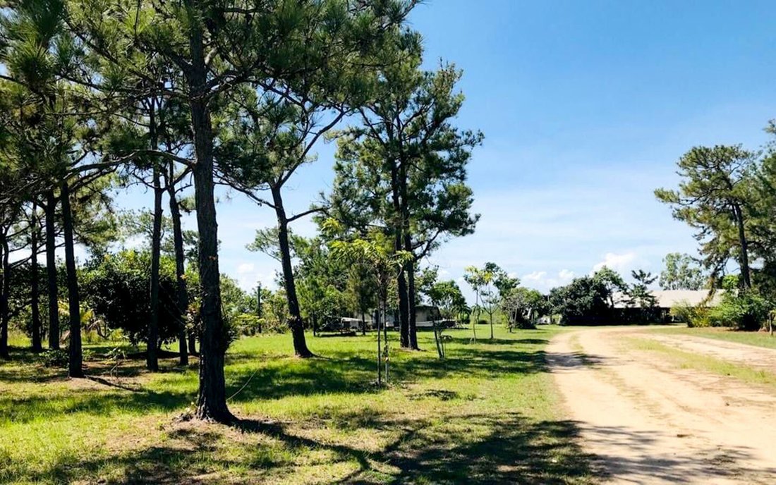 Investment In Independence And Mango Creek, Stann Creek District