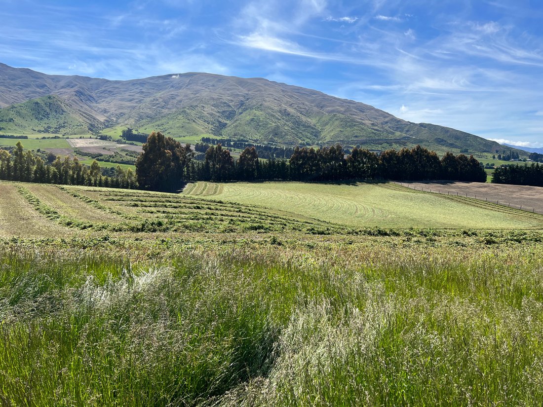 53 Jeffery Road, Crown Terrace, In Arrow Junction, Otago, New Zealand