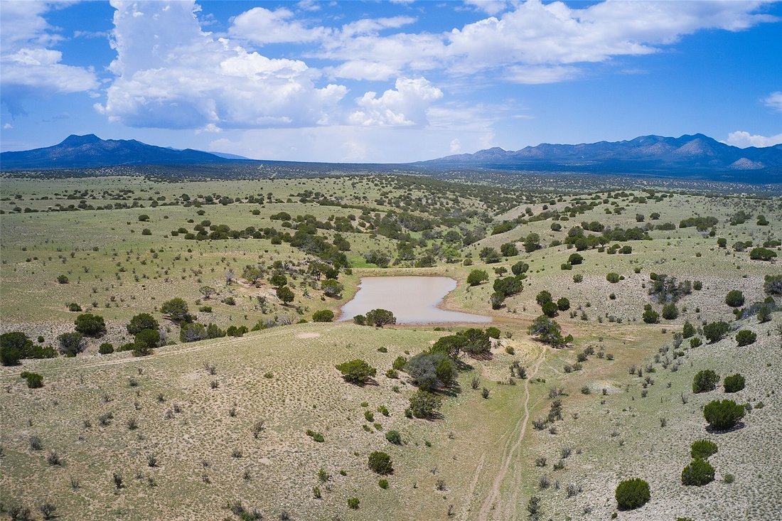 221 Simmons Road In Cedar Grove, New Mexico, United States For Sale