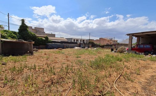Land in Felanitx, Balearische Inseln, Spanien 1
