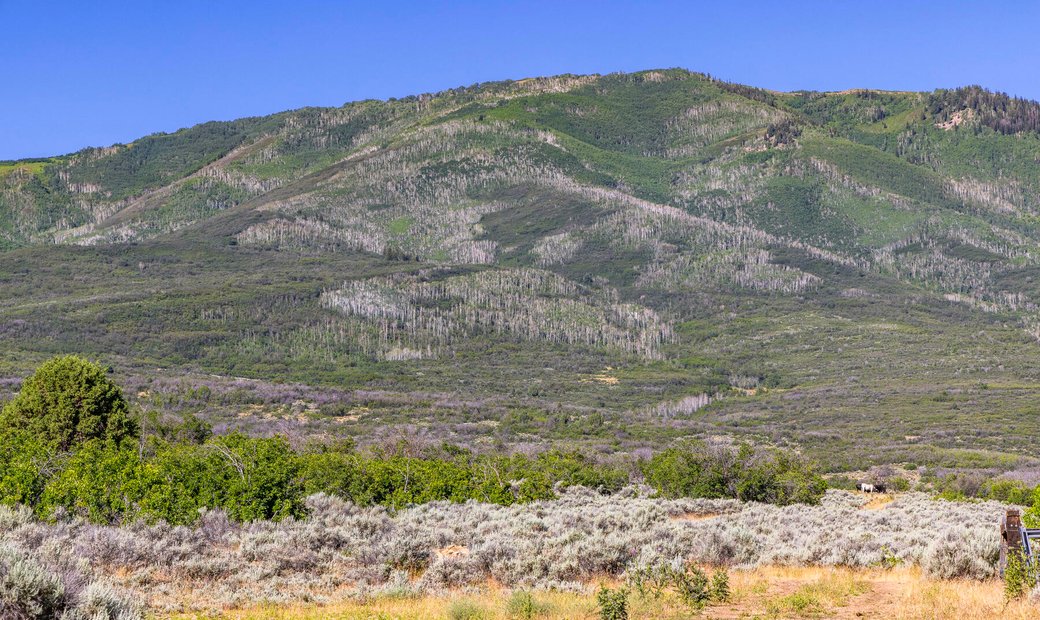More Than 692 Acres In Rather Serene In Wallsburg, Utah, United States