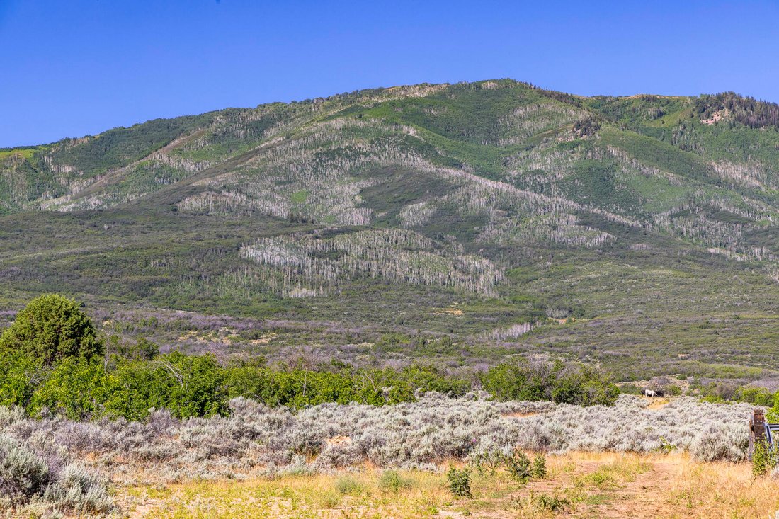 Land in Wallsburg, Utah, United States 1 - 12109994