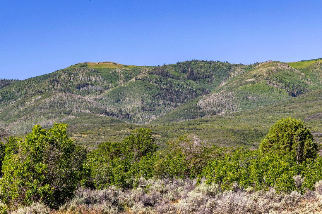 More Than 692 Acres In Rather Serene In Wallsburg, Utah, United States