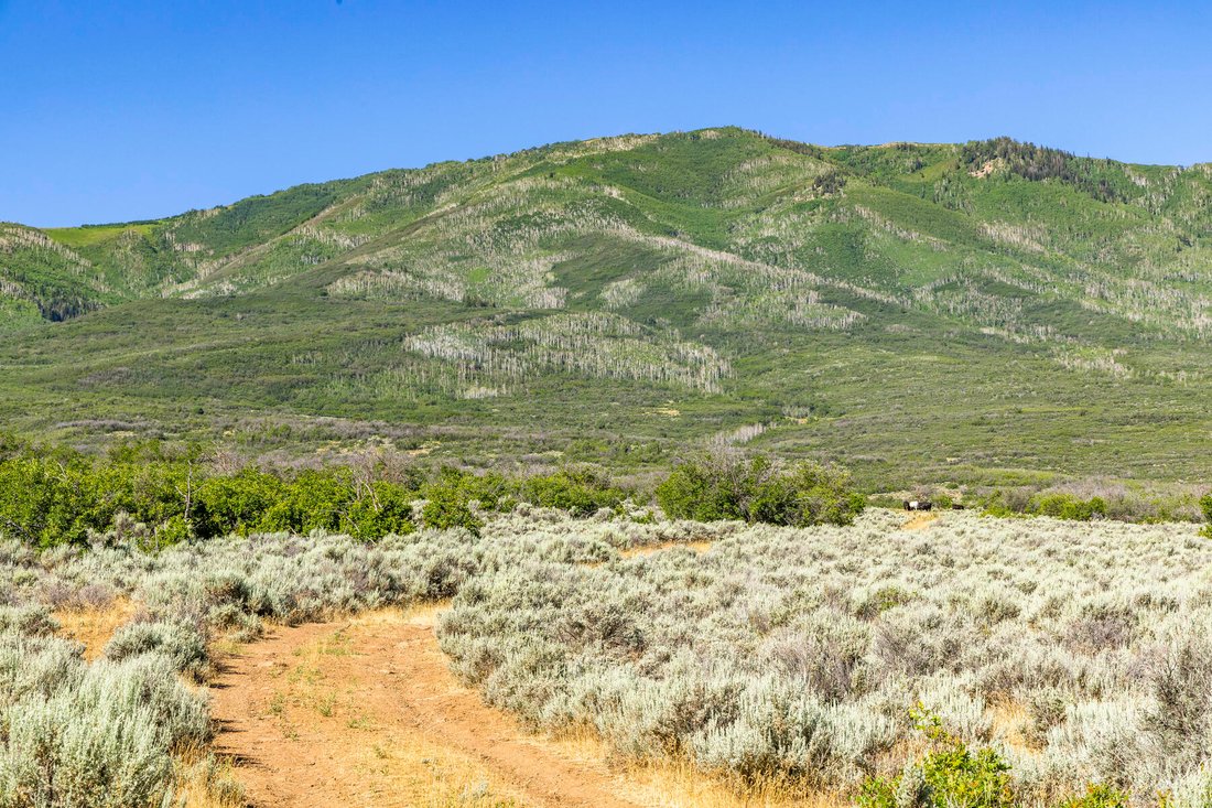 More Than 692 Acres In Rather Serene In Wallsburg, Utah, United States