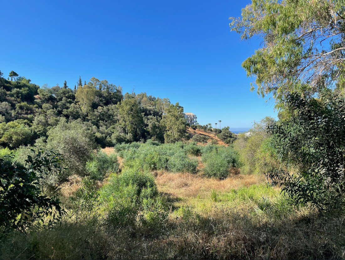 Land in Benahavis, Andalusia, Spain 1 - 11515100